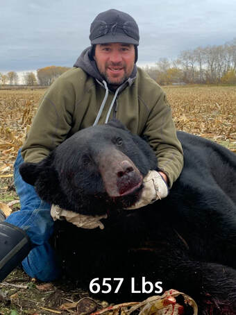 Manitoba Bear Hunt